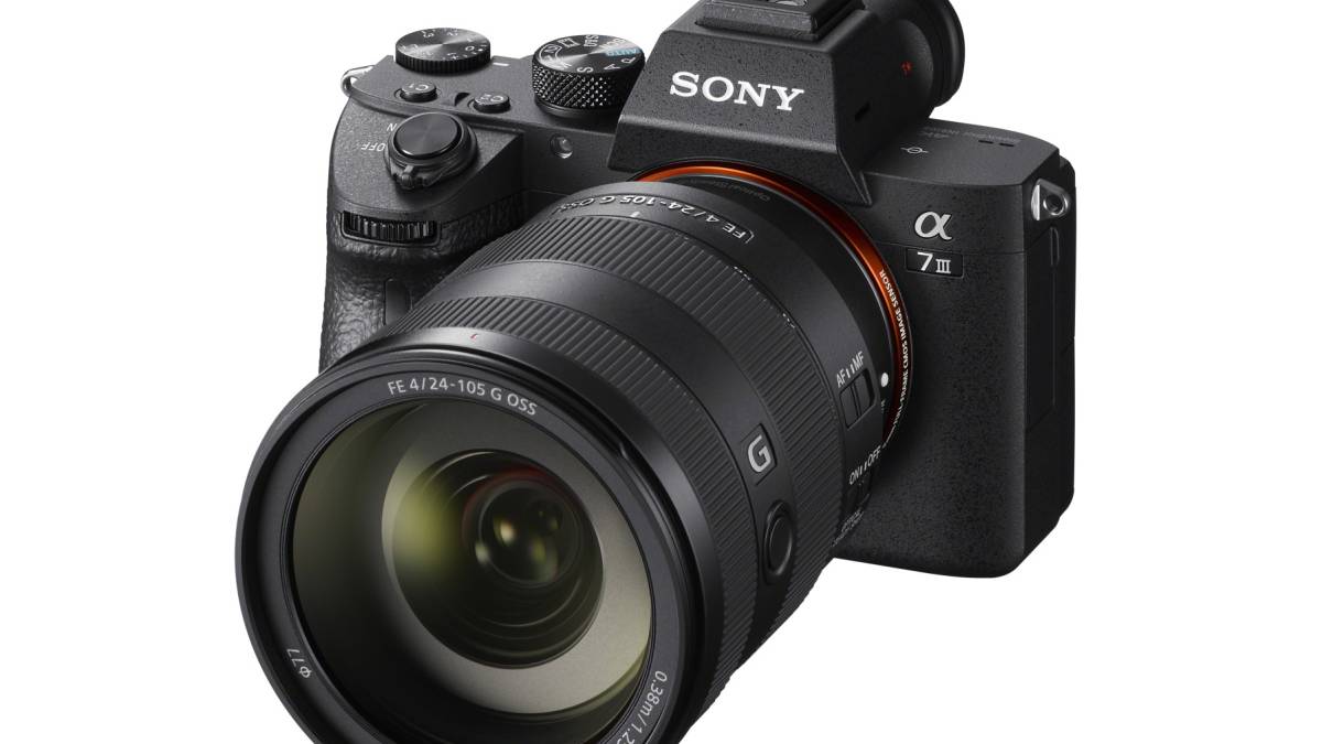 Sony o Canon, ¿cuál es la mejor opción?